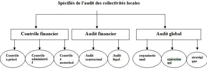 Spécifiés de l’audit des collectivités locales