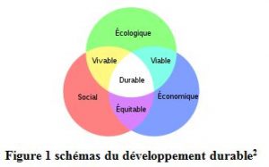 schémas du développement durable