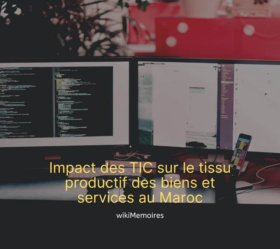 Impact des Technologies de l'Information et de la Communication (TIC) sur le tissu productif des biens et services au Maroc