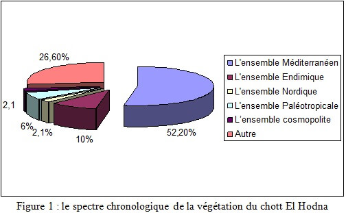 spectre-chronologique-vegetation-chott-ElHodna