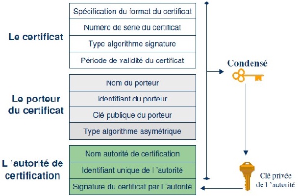 Structure d’un certificat d’authentification