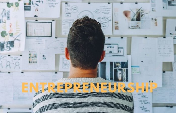 La notion d’entrepreneurship la définition de l’entrepreneur