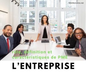 L'entreprise : définition, rôle et caractéristiques des PME