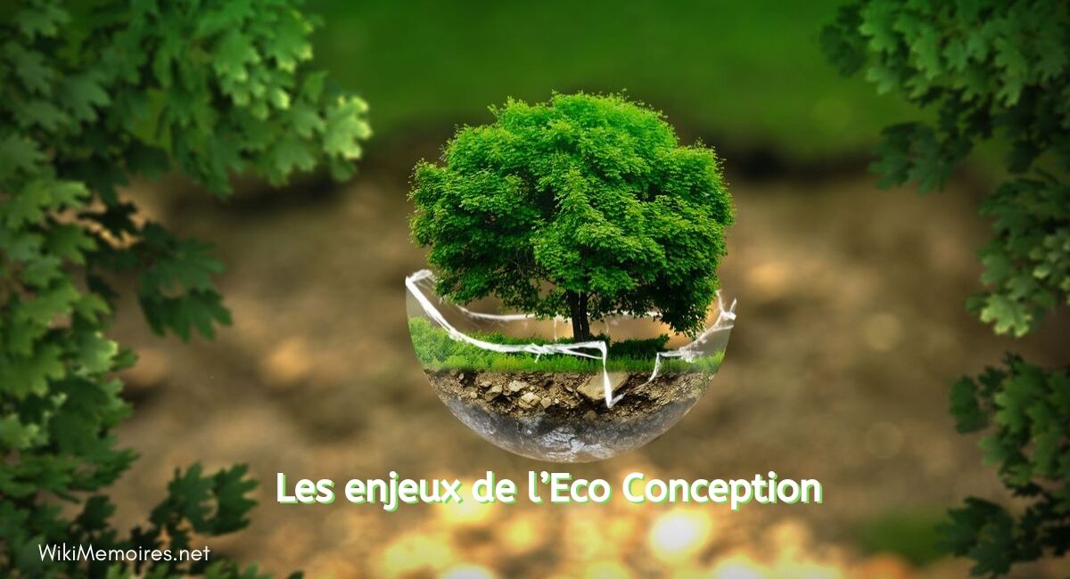 Les Enjeux De L’Eco Conception