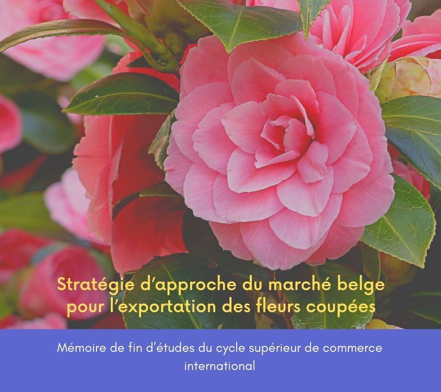 Stratégie d’approche du marché belge pour l’exportation des fleurs coupées