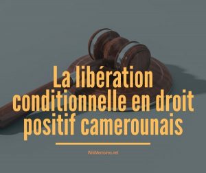 La libération conditionnelle en droit positif camerounais
