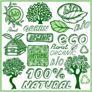 Le produit bio : le marketing bio et le Greenwashing