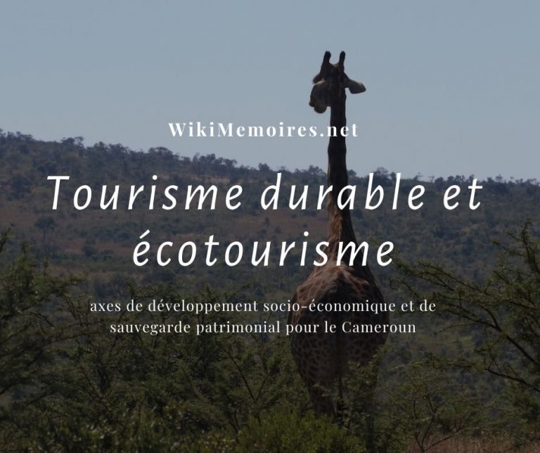 Tourisme durable et écotourisme : axes de développement socio-économique et de sauvegarde patrimonial pour le Cameroun