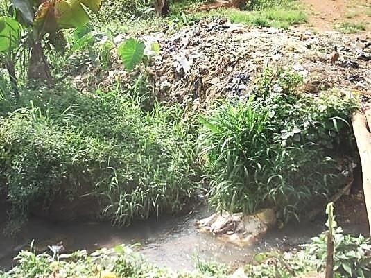  Dépôt sauvage d'ordures ménagères près d’un cours d’eau à l’intérieur du quartier Mbankolo