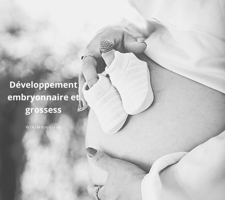 Développement embryonnaire et grossess