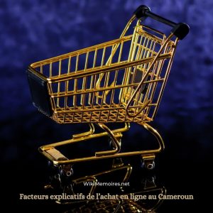Facteurs explicatifs de l’achat en ligne au Cameroun