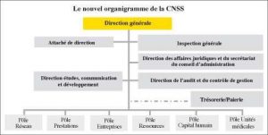Organigramme général du la CNSS