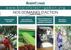 L’ONG Brainforest et ses activités : actions et études