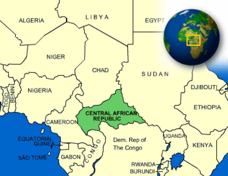 L’Afrique centrale et la démocratie le bilan de 50 ans