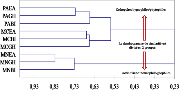 Dendrogramme de similarité entre les neuf peuplements Orthoptérologique