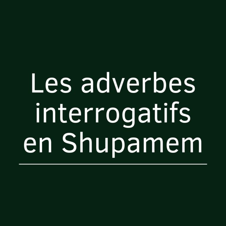 Les adverbes interrogatifs en Shupamem