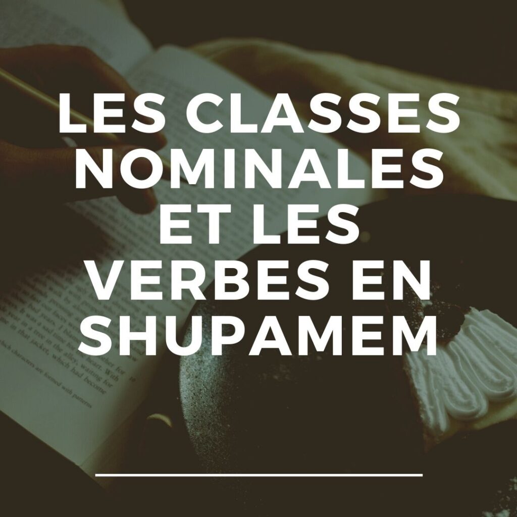 Les classes nominales et les verbes en Shupamem