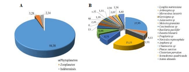 Profil général du régime alimentaire (A) et composition en phytoplancton du régime al