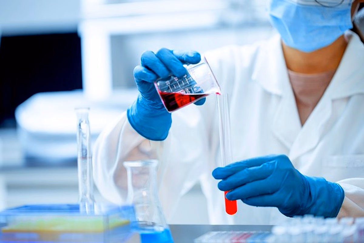 Enzymes pectinolytiques en Algérie : étude des zones humides