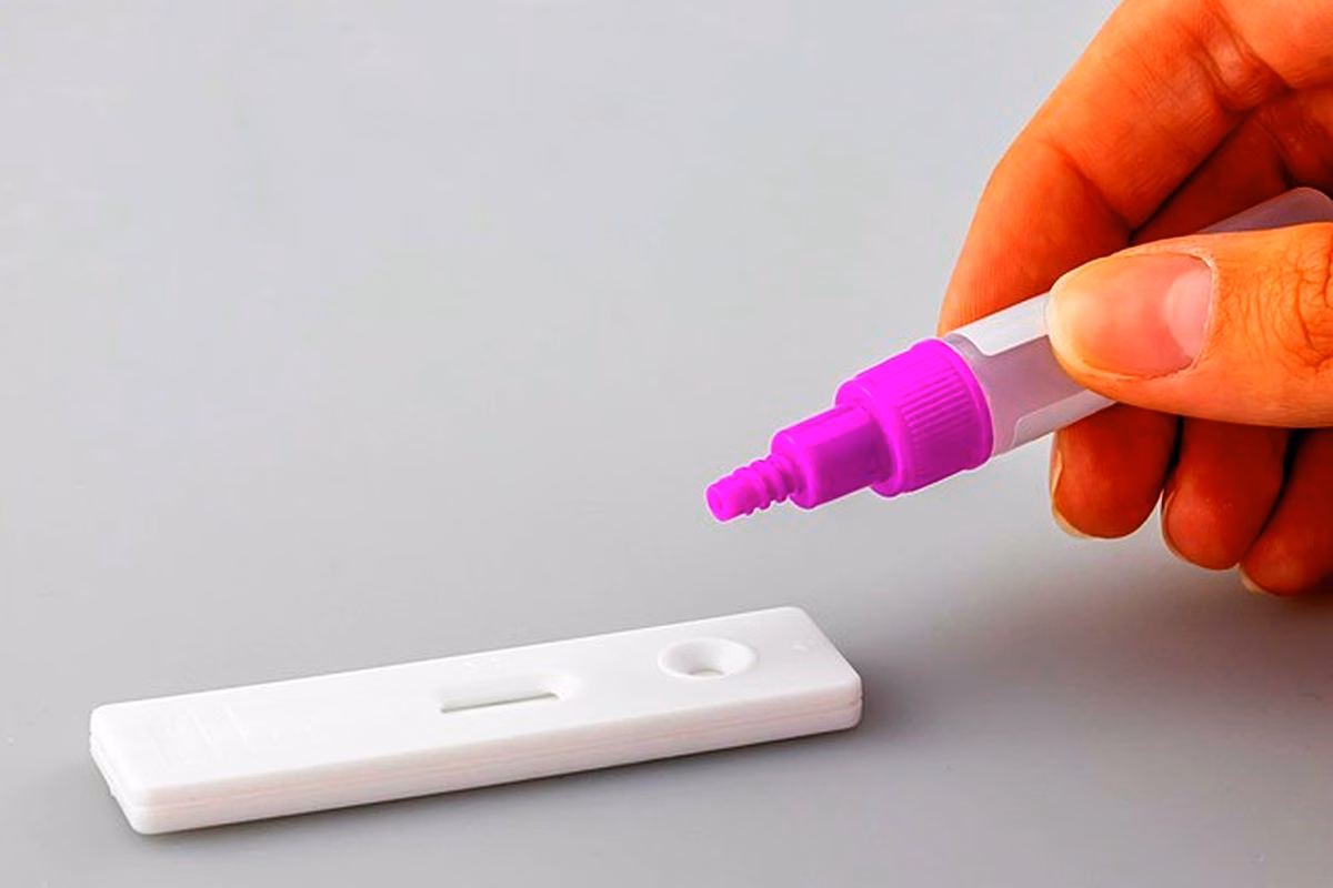 Antibiorésistance des Entérobactéries : Étude Cruciale à Sétif