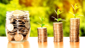 Investissements Directs Etrangers en Algérie : Analyse