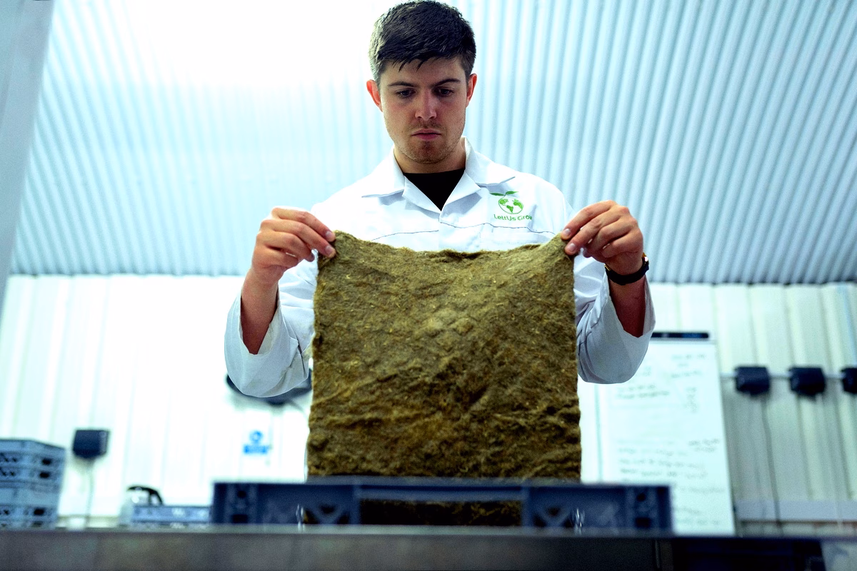 Stabilisation des sols par fibres de palmier à Igana