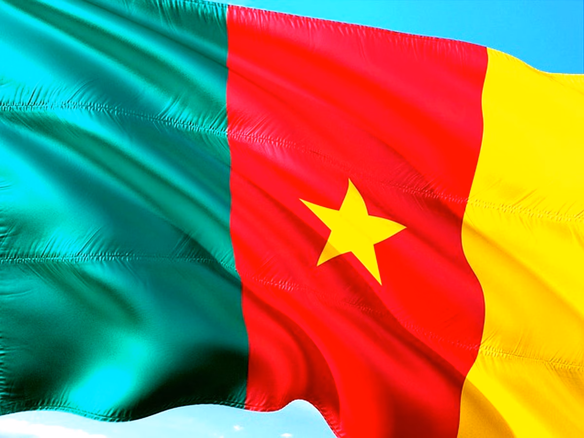Gestion du Crédit au Cameroun : Stratégies Essentielles