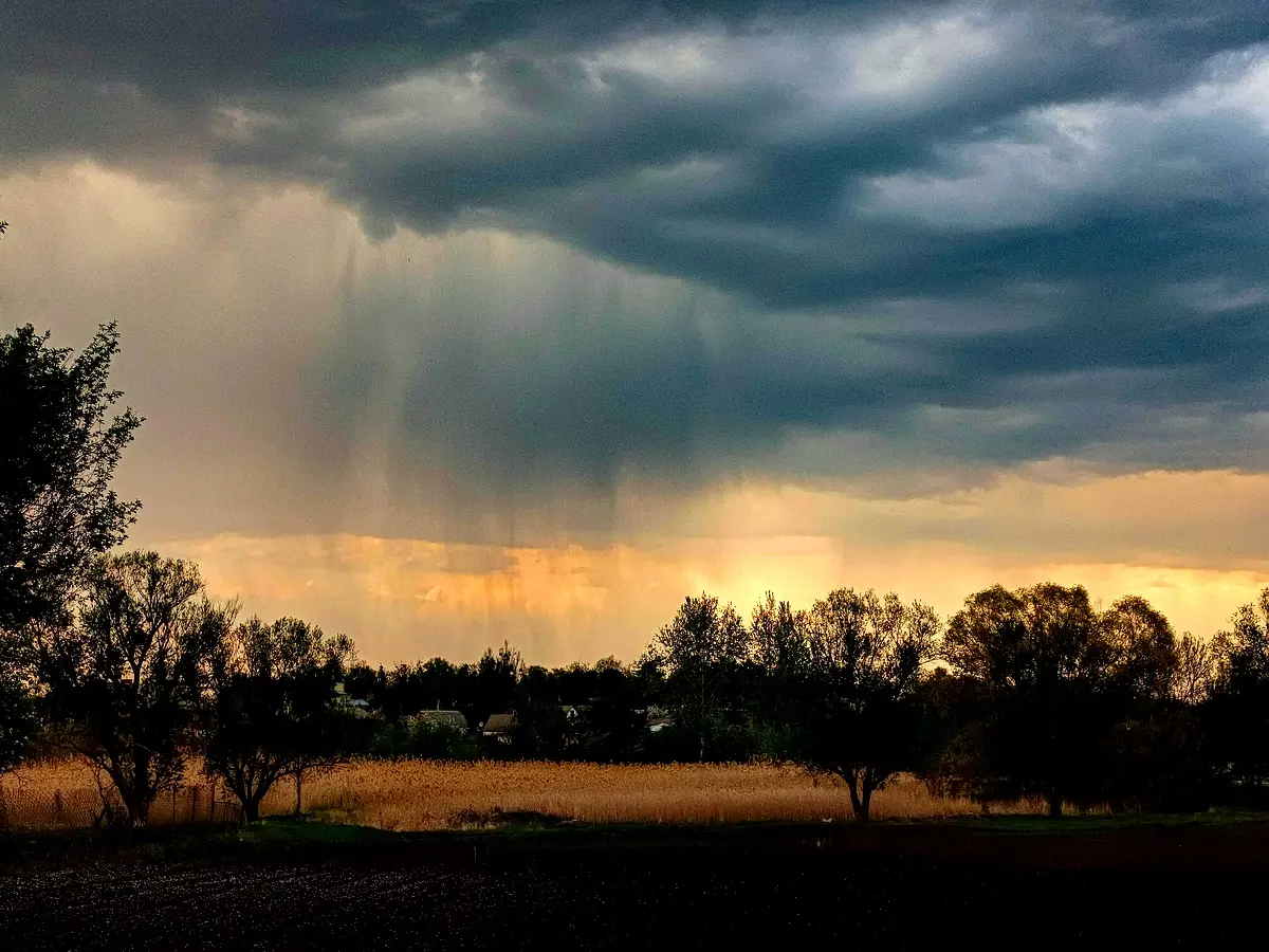 Analyse approfondie de la variabilité mensuelle des pluies