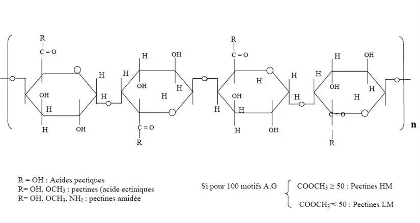 Image 11 - methodologie-echantillonnage-en-microbiologie-des-zones-humides