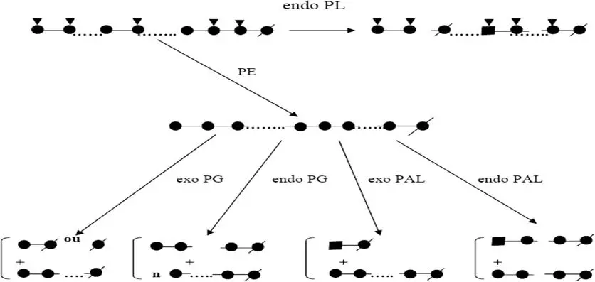 Image 14 - methodologie-echantillonnage-en-microbiologie-des-zones-humides