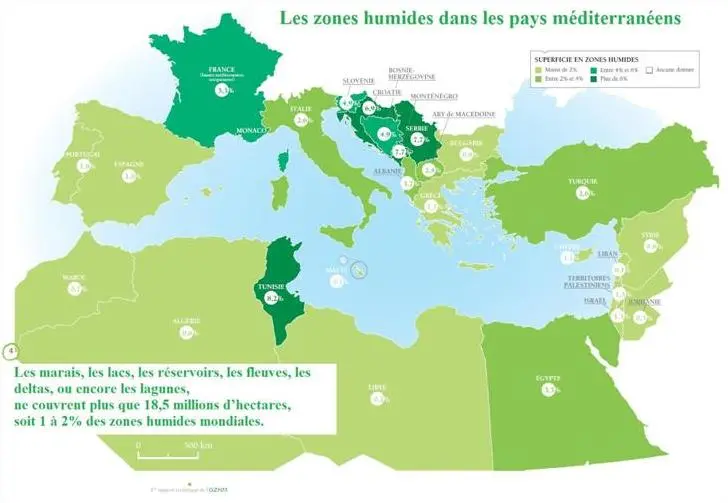 Image 4 - methodologie-echantillonnage-en-microbiologie-des-zones-humides