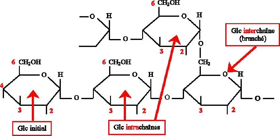 Image 8 - methodologie-echantillonnage-en-microbiologie-des-zones-humides