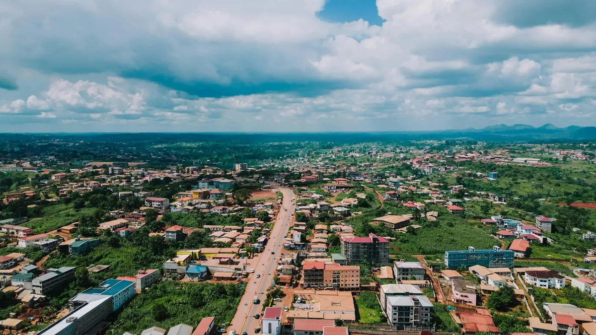 Meilleures pratiques d'ajustement au Cameroun : étude 1987-2017