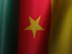 Stratégies de mise en œuvre des ajustements structurels au Cameroun