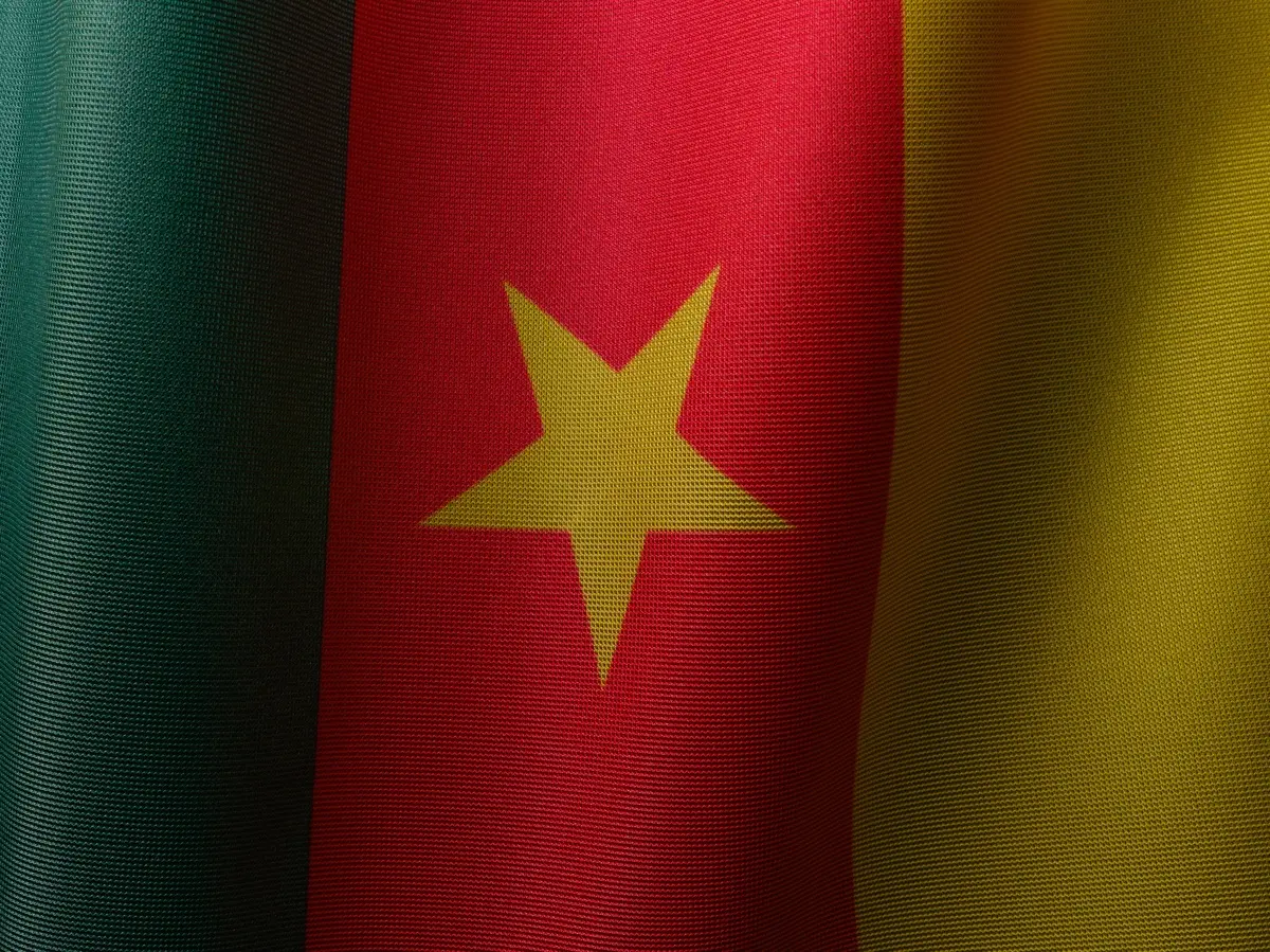 Stratégies de mise en œuvre des ajustements structurels au Cameroun