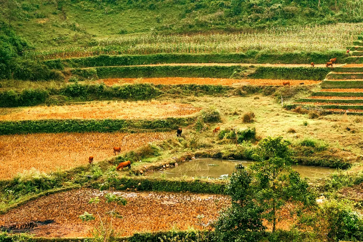 Perspectives d'adaptation climatique pour Tiddas en 2024