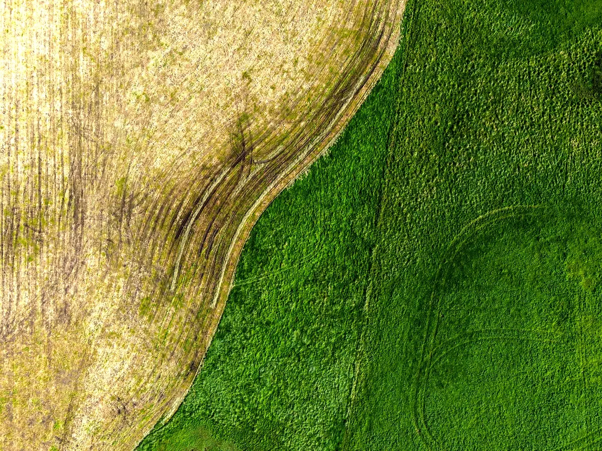 Perspectives futures pour la gestion des sols à Tiravine