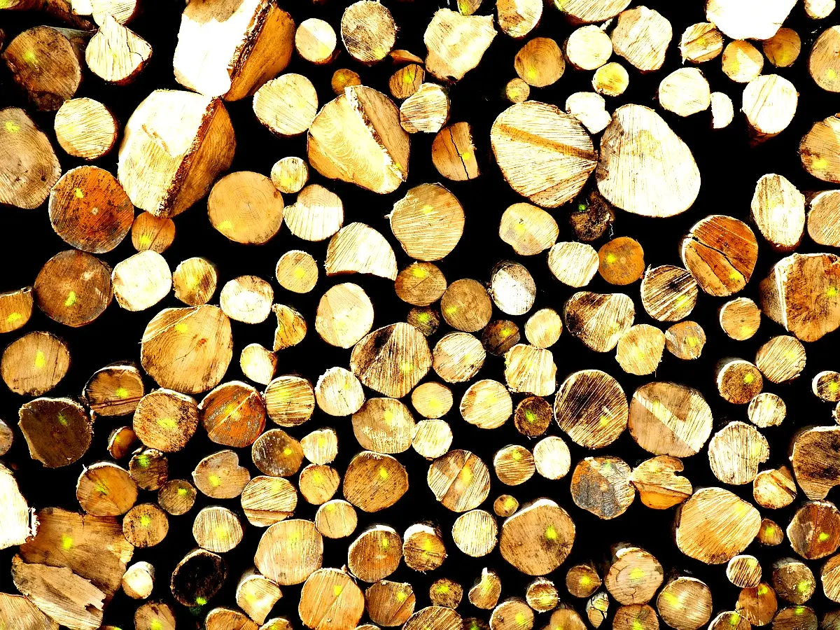 Perspectives futures sur la gestion environnementale à INDUSBOIS