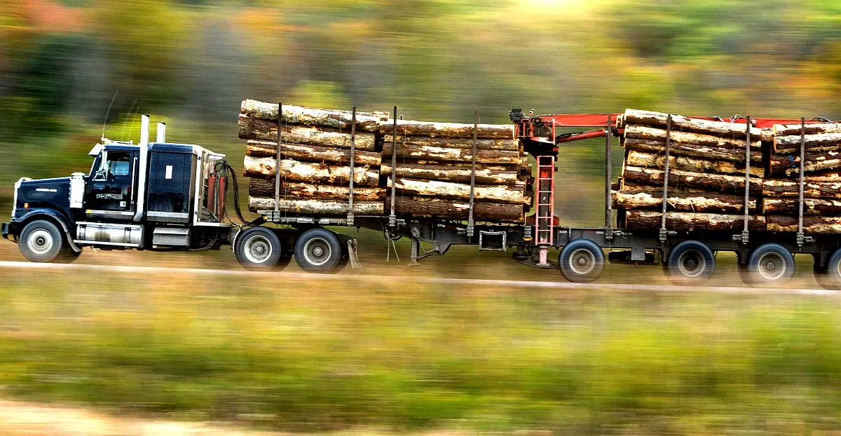 Défis et solutions pour l'approvisionnement légal du bois