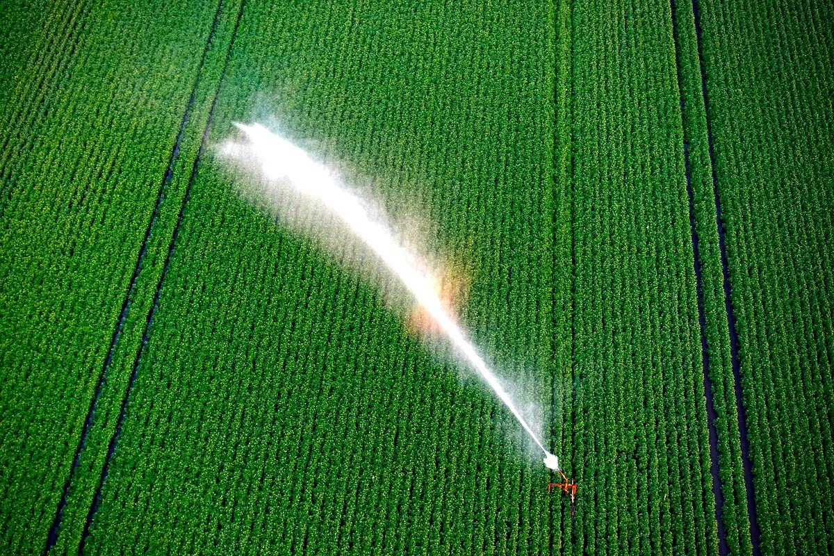 Défis et solutions pour l'irrigation à Digoterie