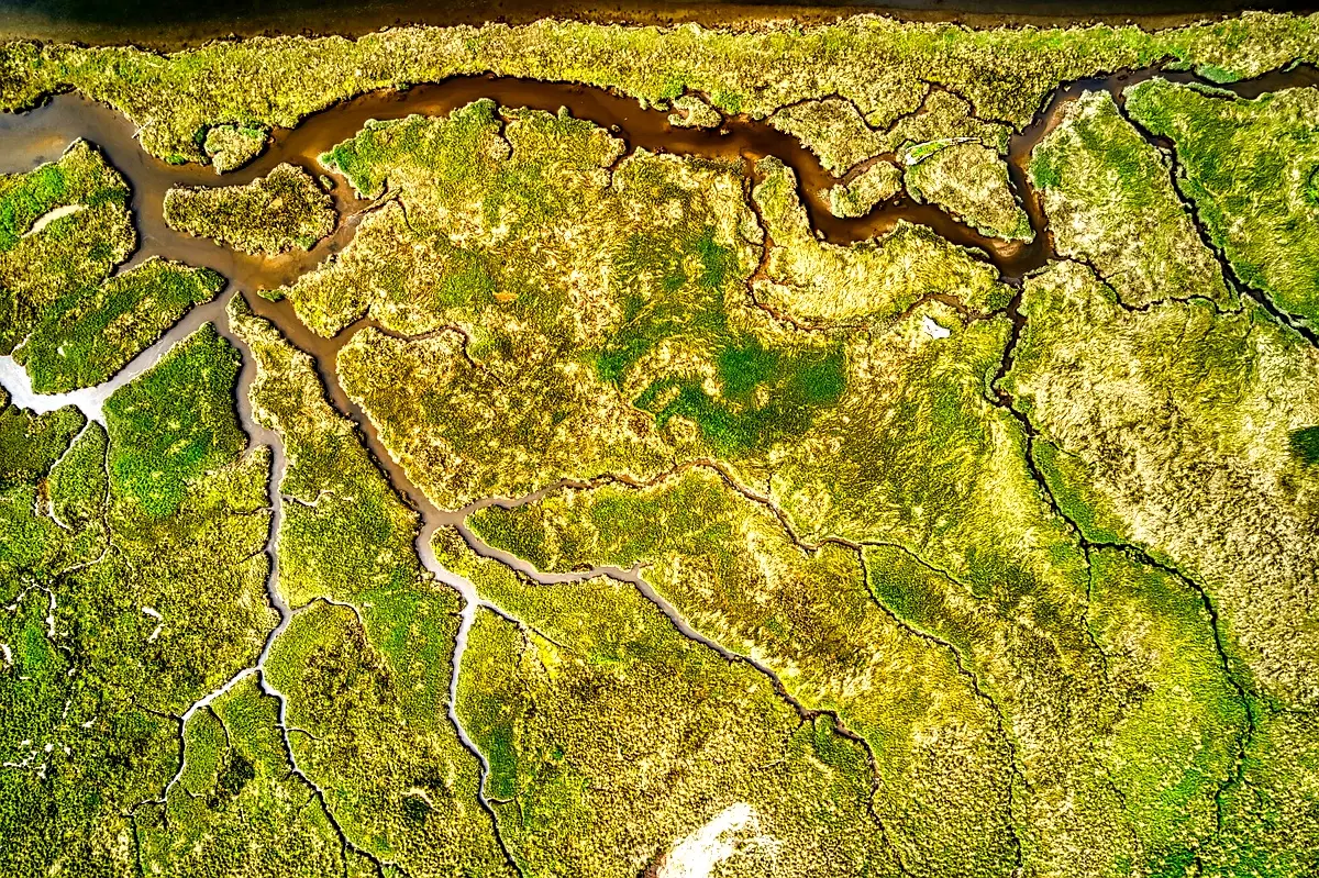 Morphologie du bassin versant du Tongo-Bassa : Analyse approfondie