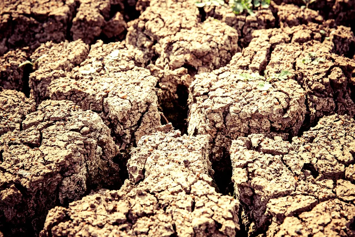 Applications pratiques pour la gestion des sols à Tiravine