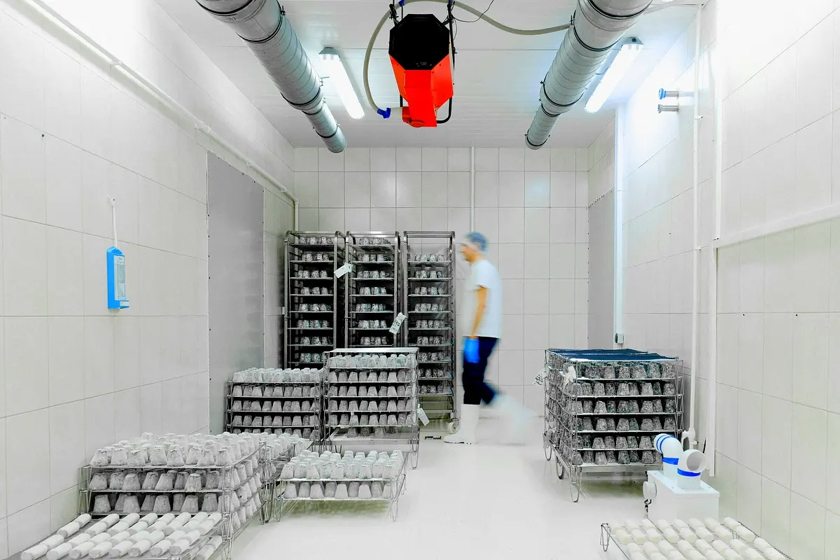 Analyse comparative de la distribution chez ELECTRO-INDUSTRIES