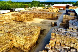 Approvisionnement en bois légal : Stratégies innovantes pour Abidjan