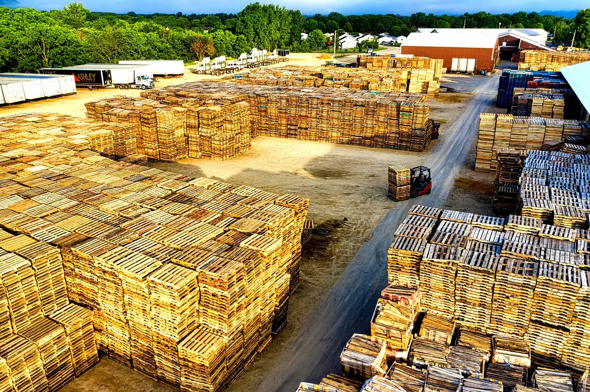 Approvisionnement en bois légal : Stratégies innovantes pour Abidjan