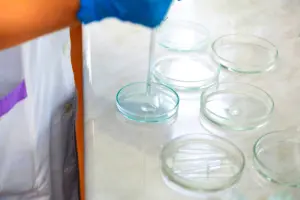 Méthodologie d'adaptation cinématographique du Colonel Chabert