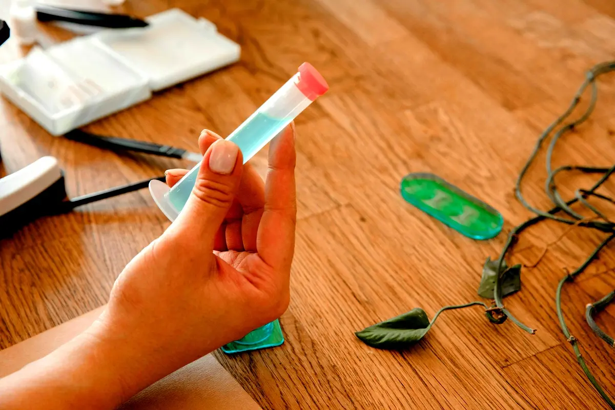 Méthodologie innovante pour le séchage du raphia hookeri