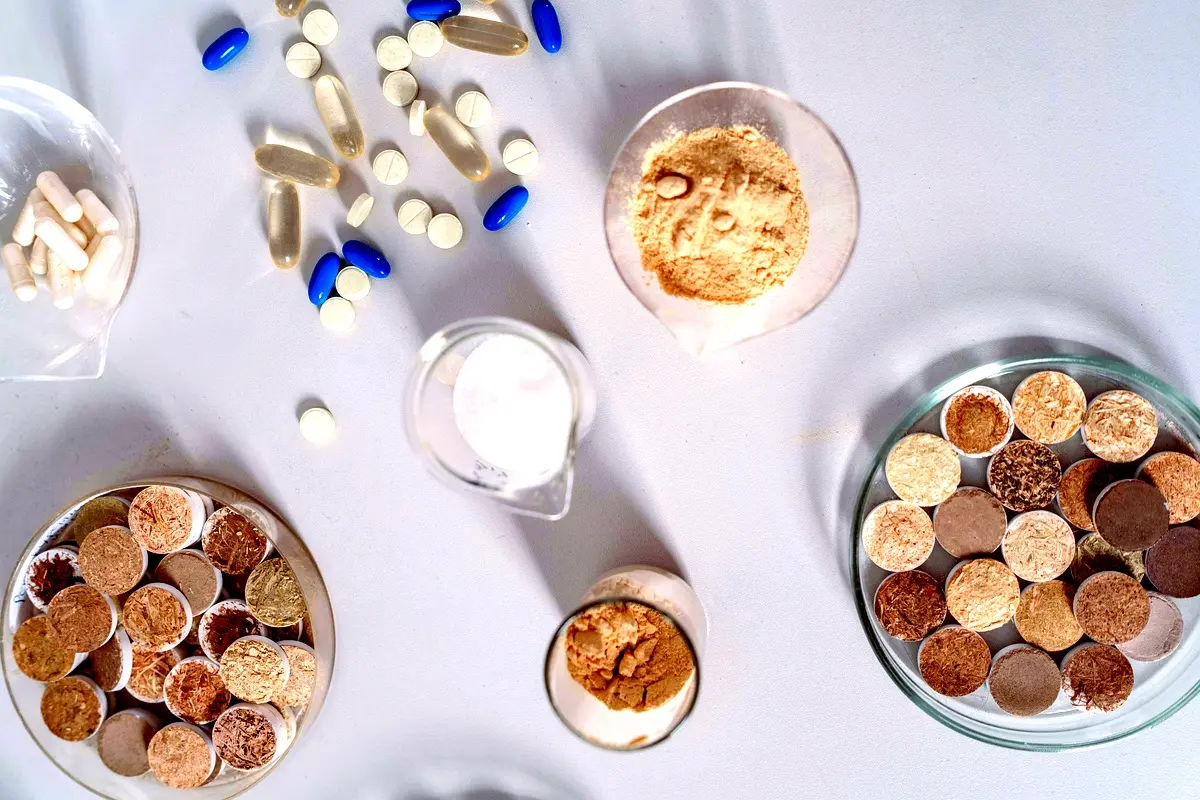 Bioactifs du sirop de datte : résultats de fermentation innovants