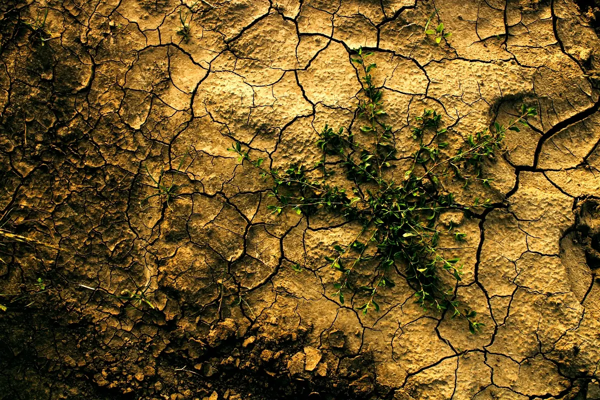 Impact du changement climatique au Maroc : étude des résultats