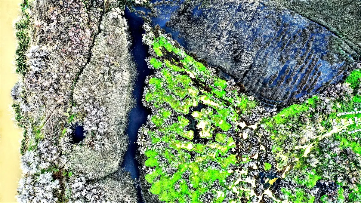 Pertes de sol au micro bassin versant de Tiravine : Analyse approfondie